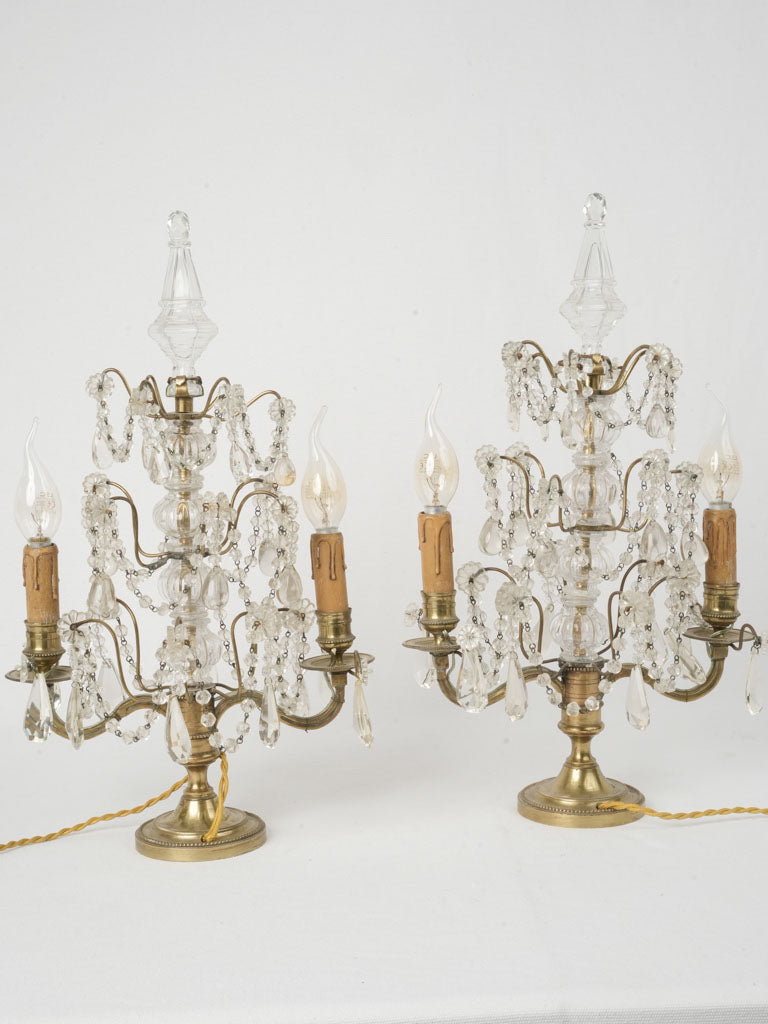 Ornate 19th-century French lamps