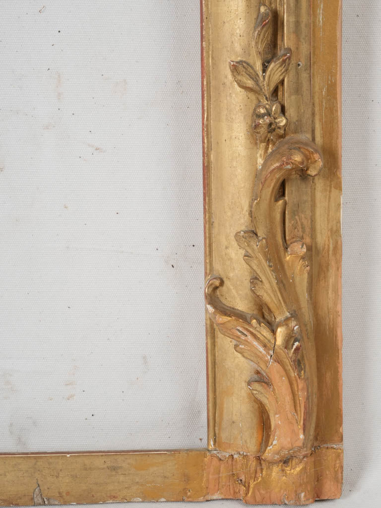 Luxurious, gilded Louis XIV frame