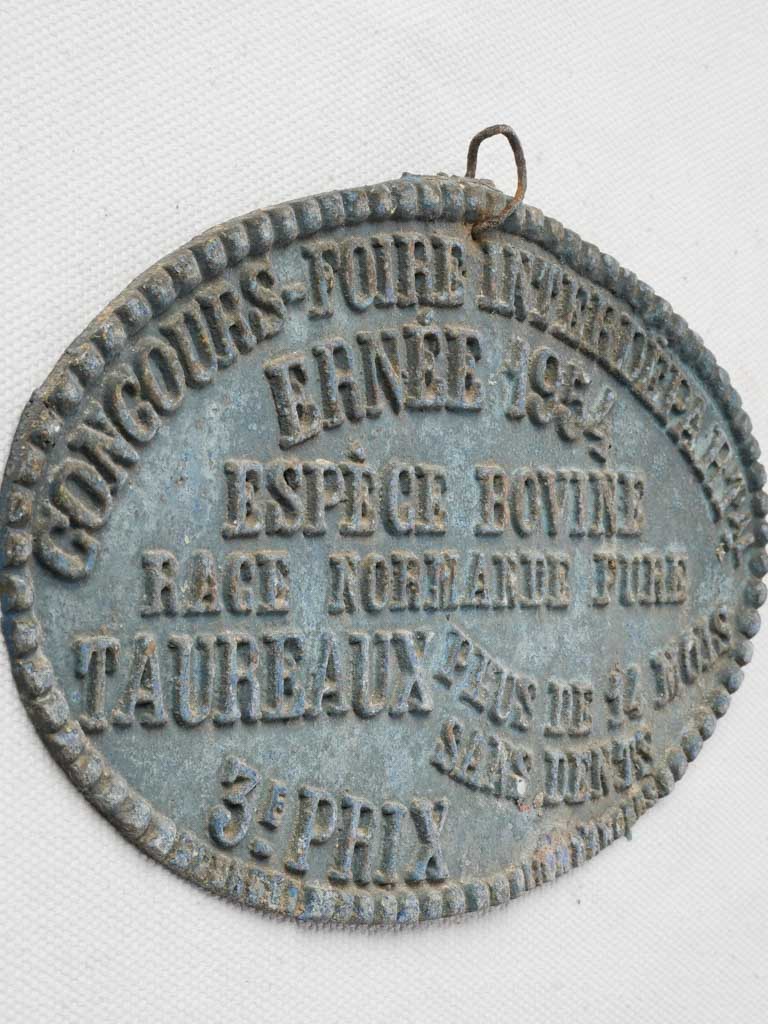Aluminum weathered blue decor plaque