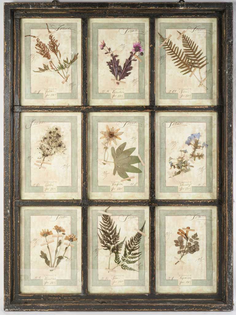Oversized Italian Artisan Herbarium in the Antique Style - 44" x 32¾"