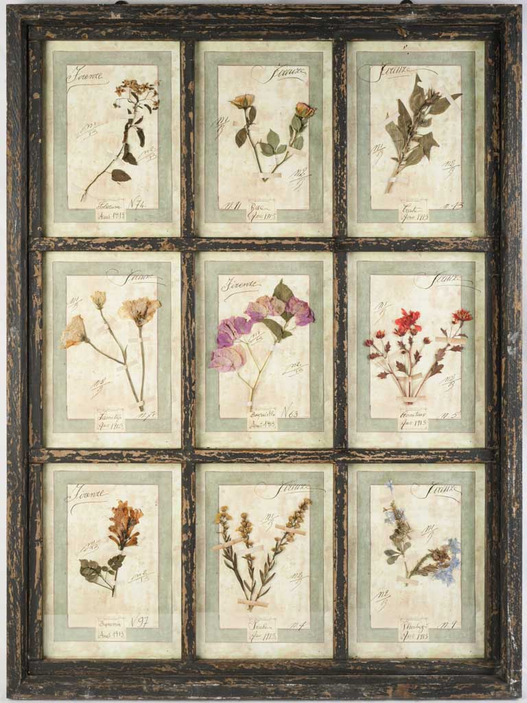 Vintage-inspired aged botanical panel