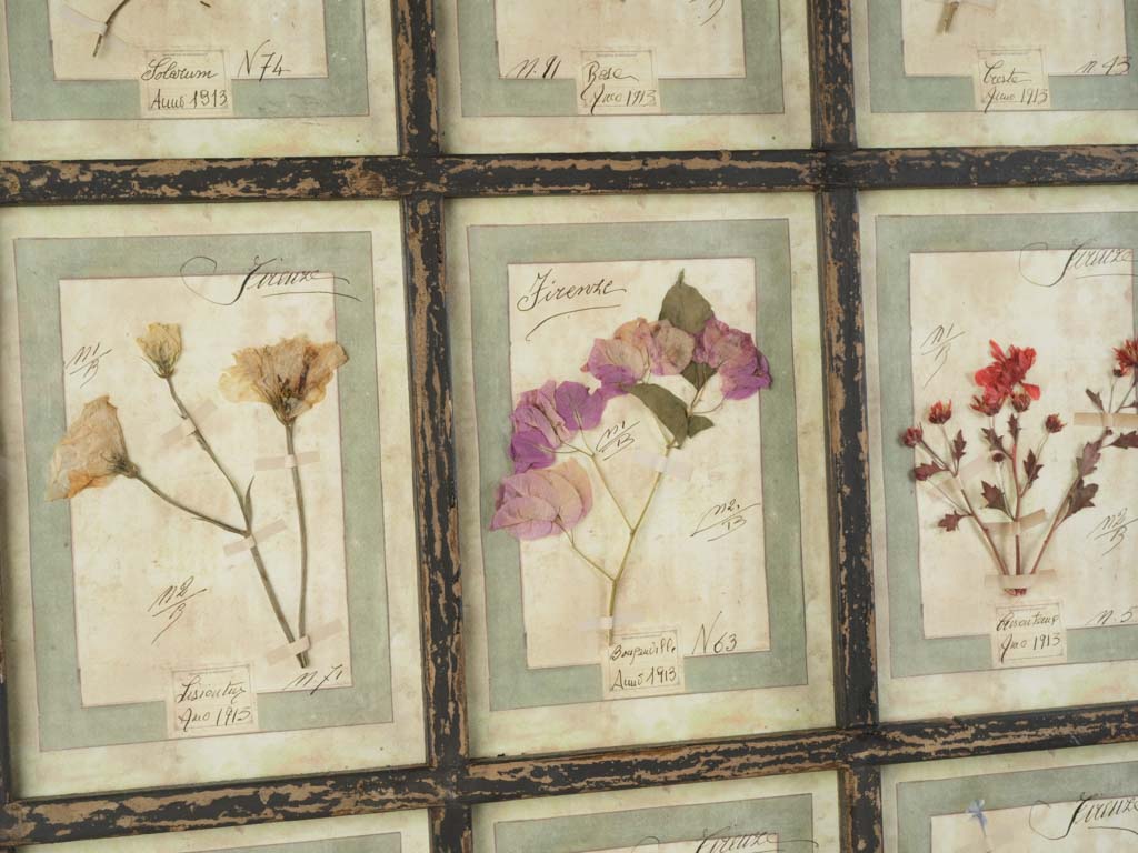 Warm-toned artisanal herbal collection