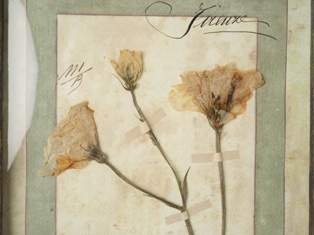 Timeless elegance botanical decor