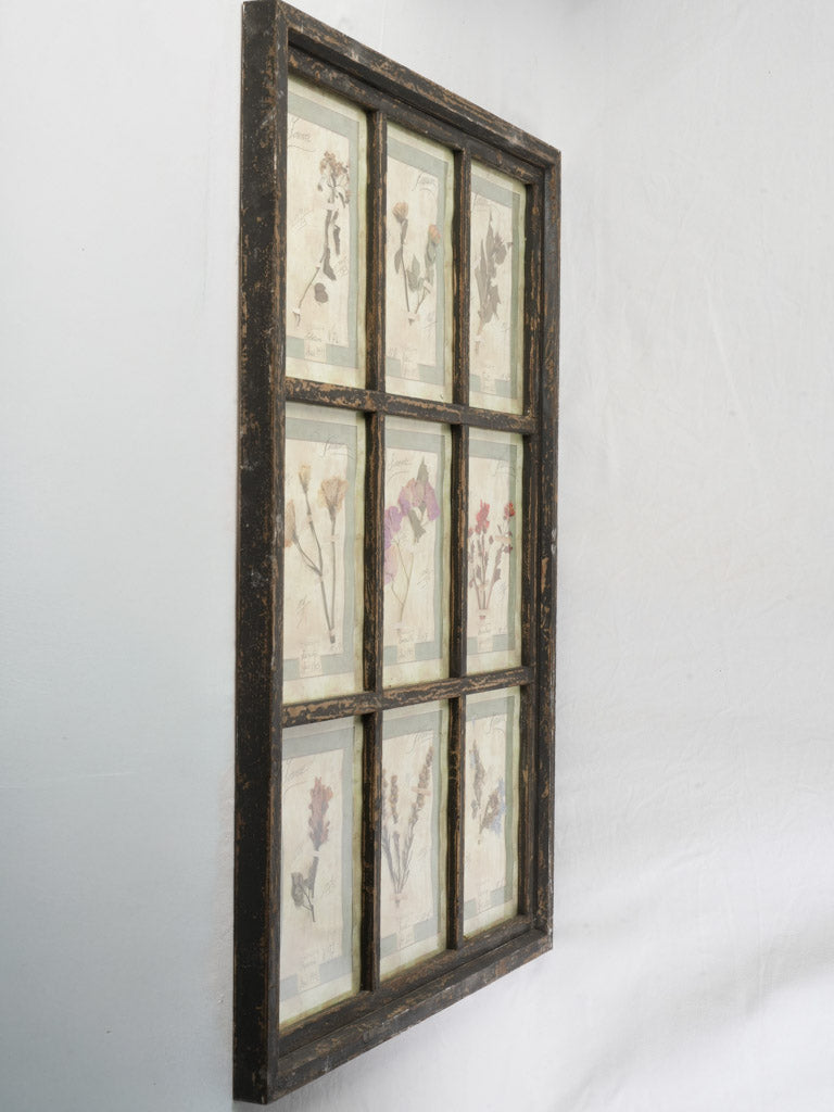 Historic-style artisanal plant display