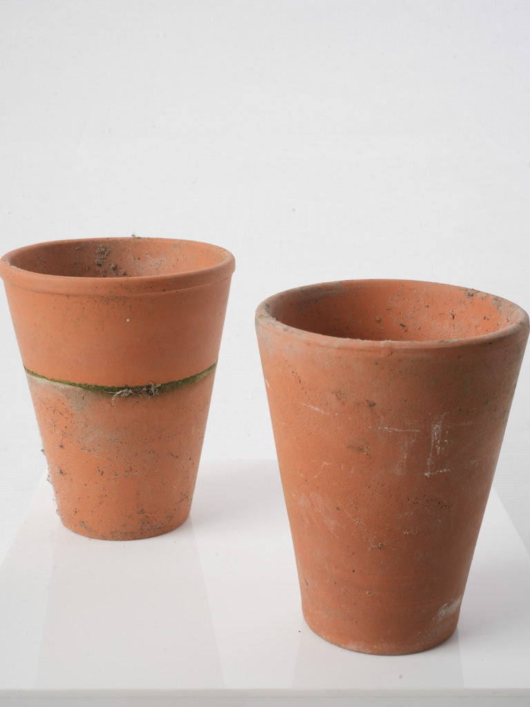 Classic horticultural vessels