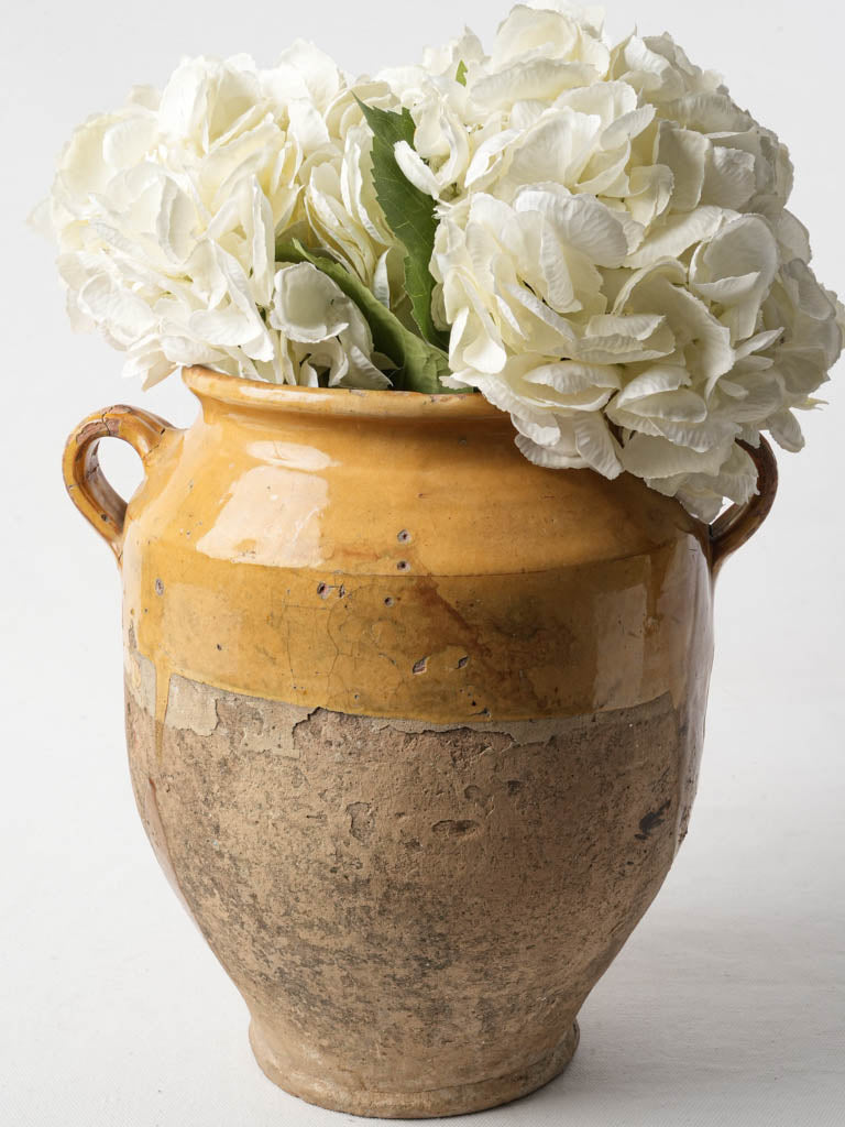 Large Terracotta Confit Pot W/ Ochre Glaze - 11½"