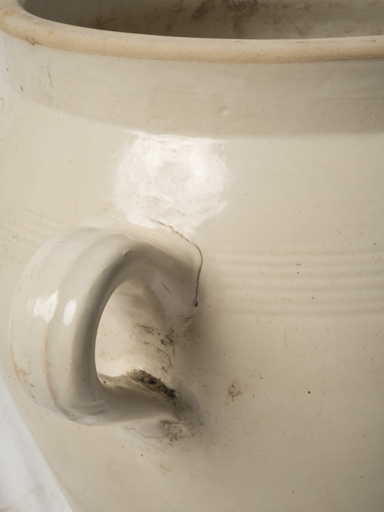 Ivory stoneware with loop handles