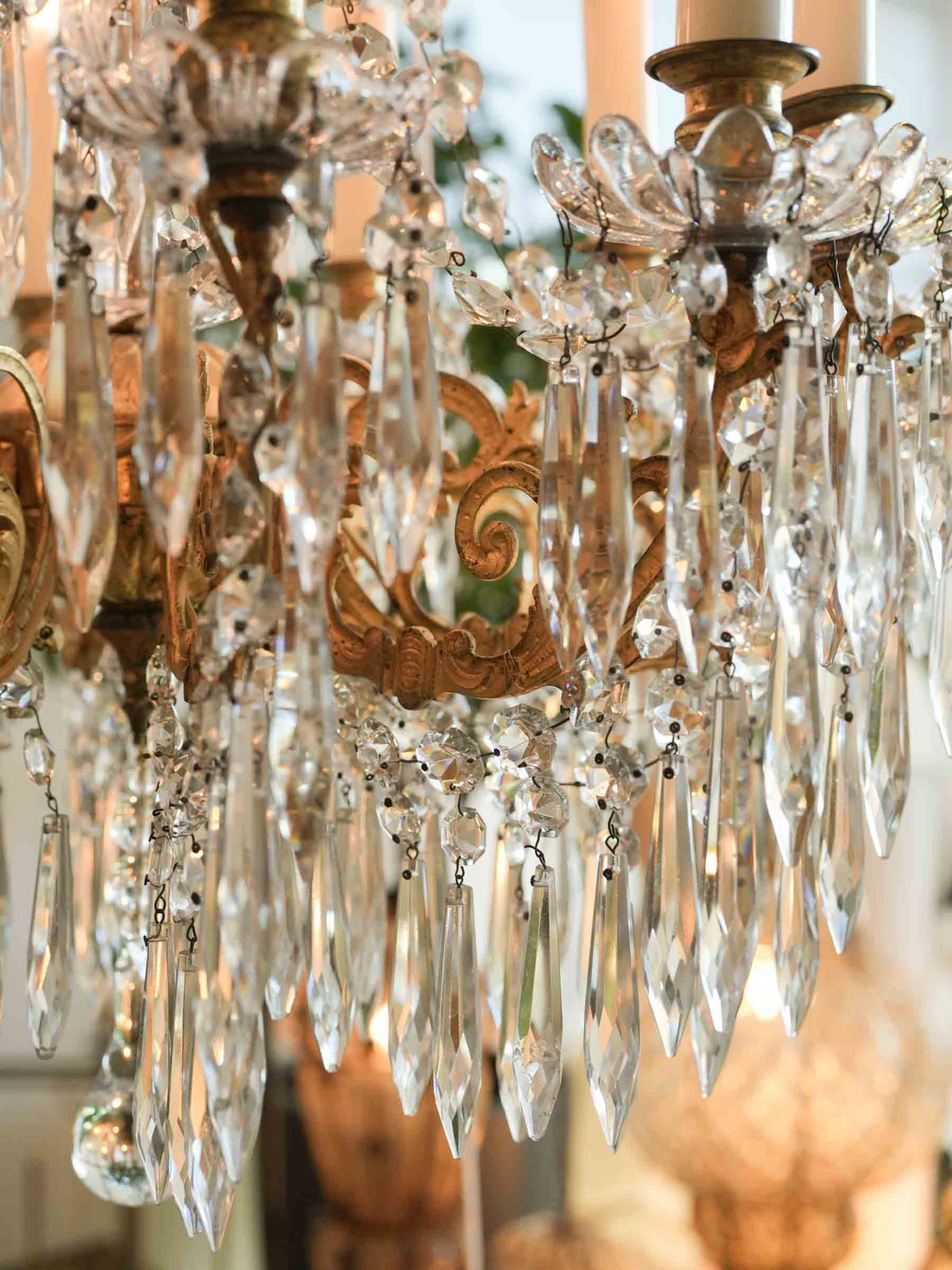 Lavish 19th-Century French Gilt-Bronze and Crystal Twelve-Light Chandelier - 31½" x 19¾"