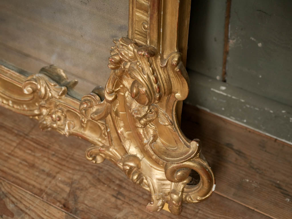 Dramatic gilded shell motif mirror