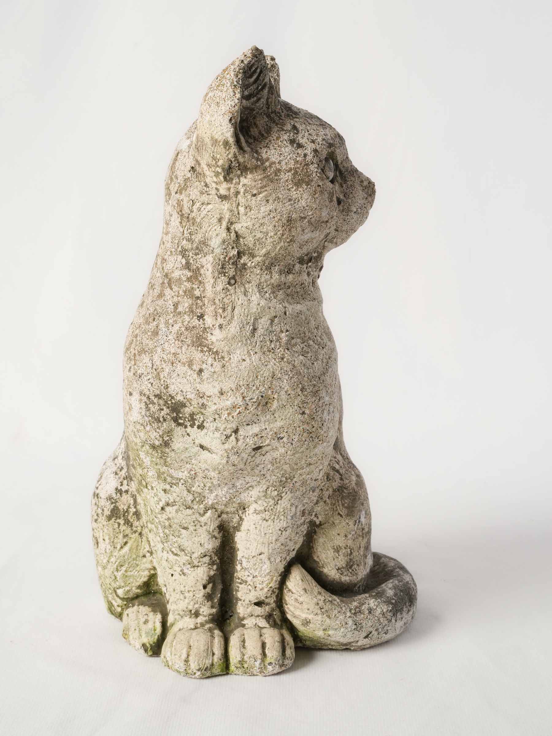 Charcoal lichen cast stone cat