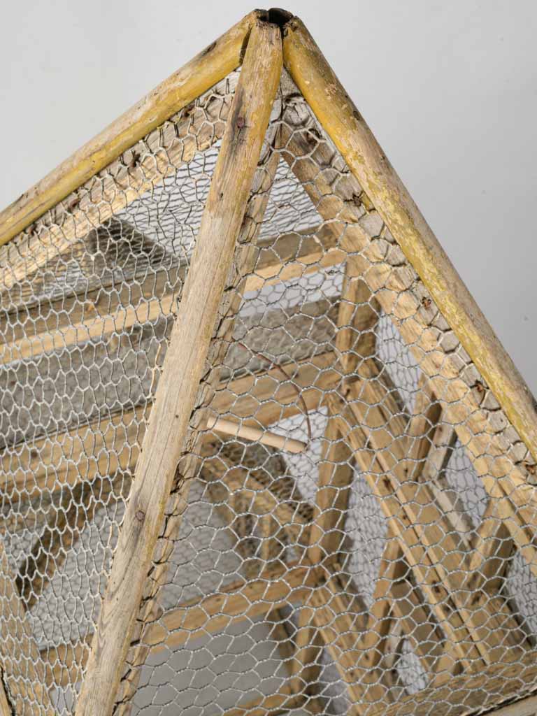Generously scaled vintage aviary