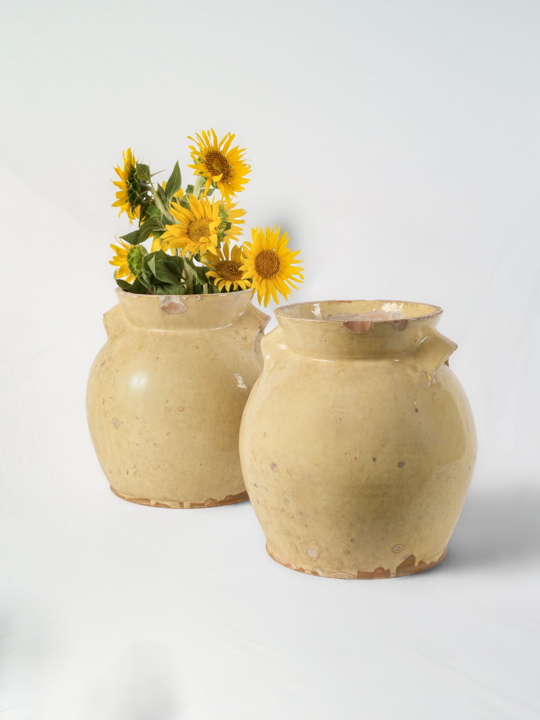 Rare pair of Large pale yellow glazed preserving crocks - 12½" x 11"