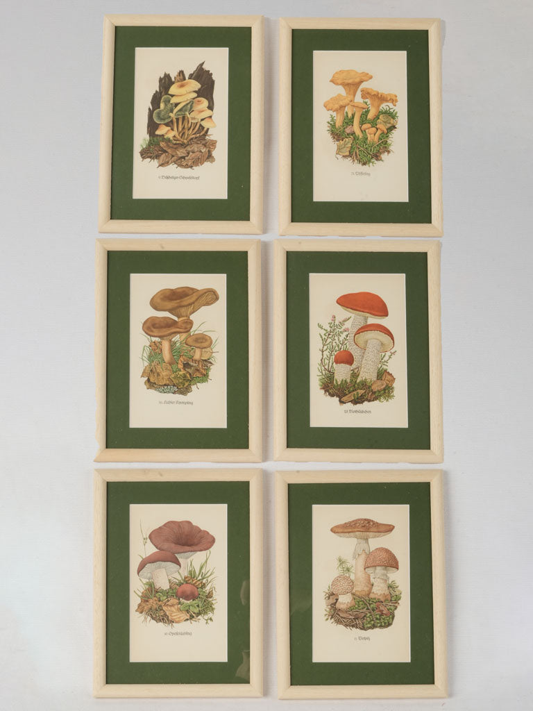 Vintage botanical art prints