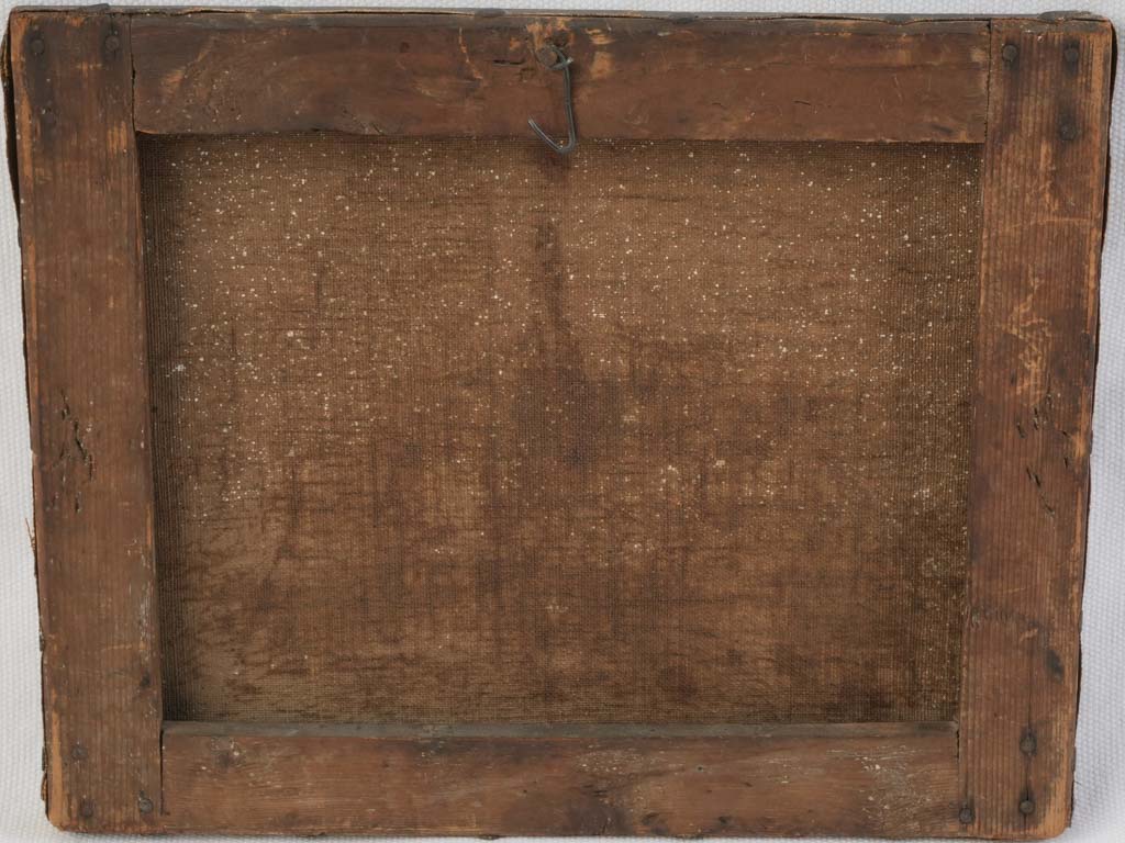 Elegant domestic animal portrait