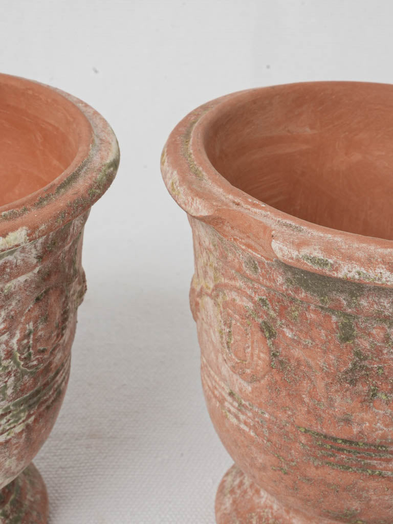 Charming rustic terracotta vases