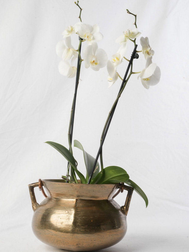 Vintage farmhouse bronze cauldron