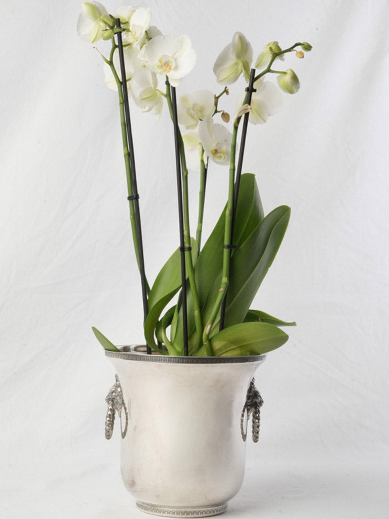 Mid-century lion handle planter
