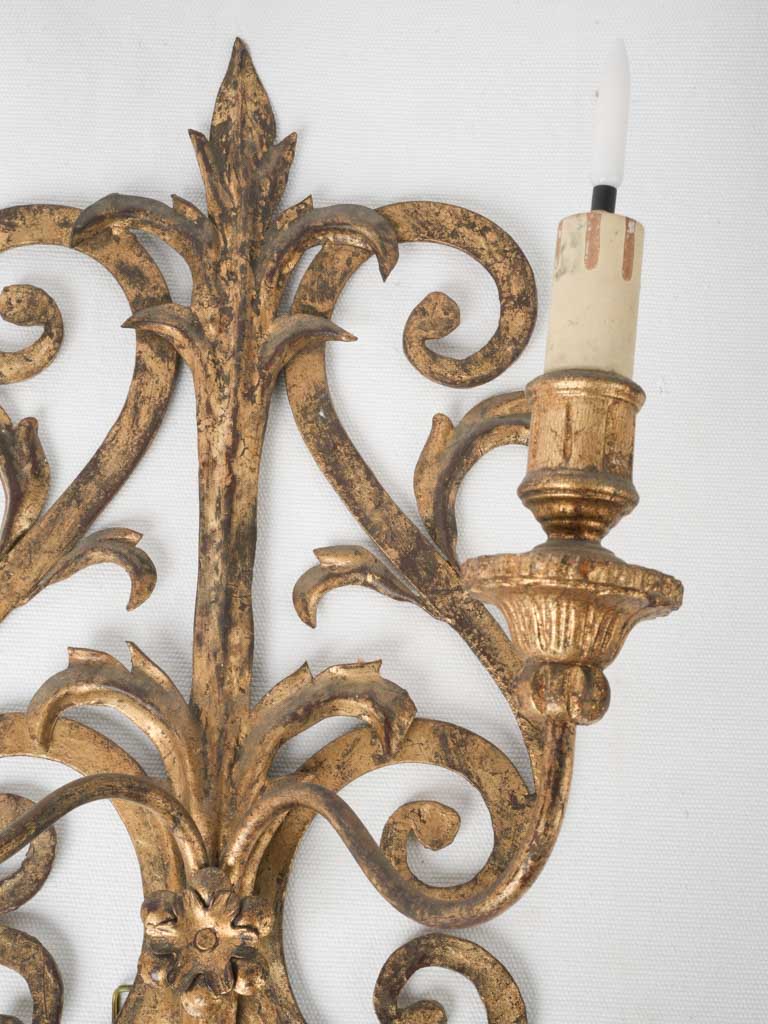 Large gold acanthus leaf sconces