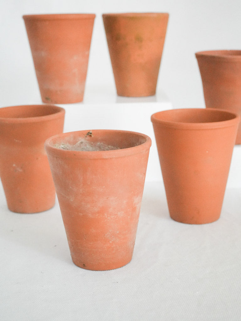 Vintage rustic terracotta garden pots