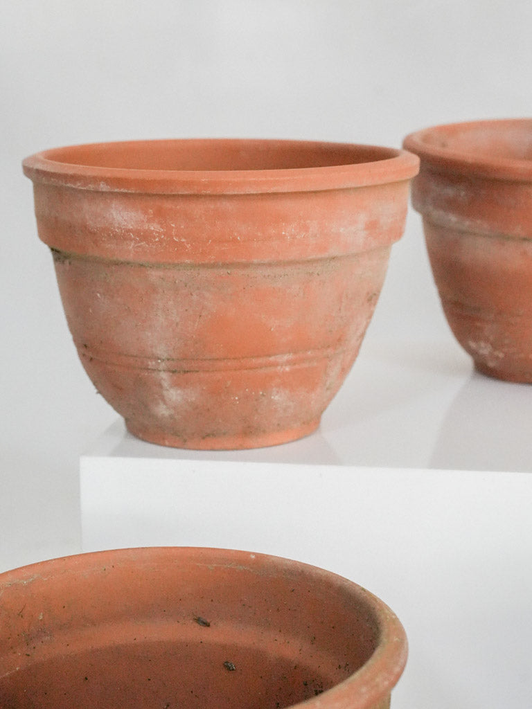 Antique mossy terracotta flower pots