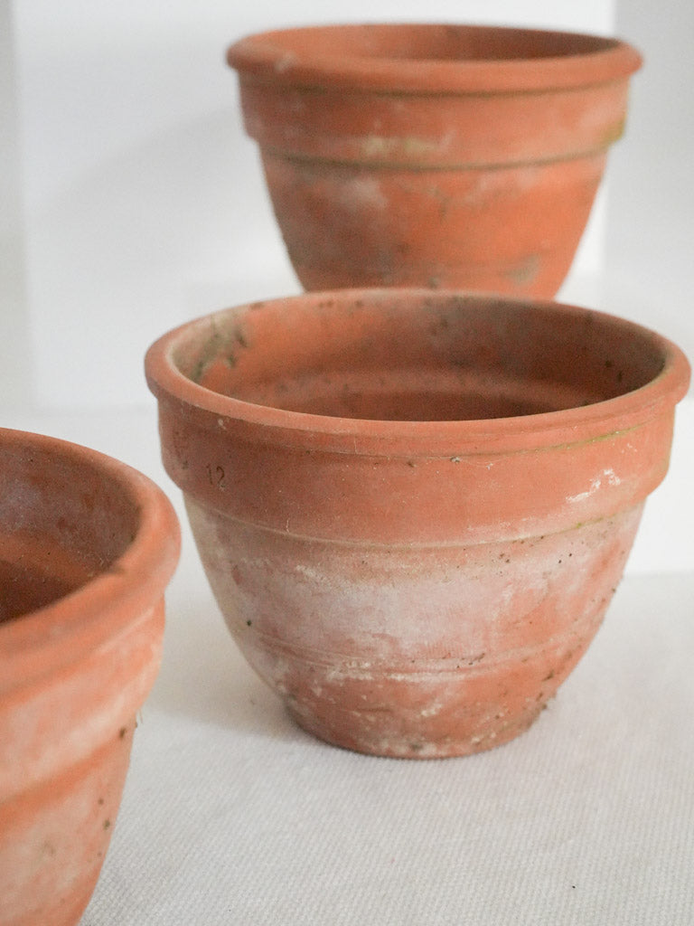Earthy limescale terracotta plant pots