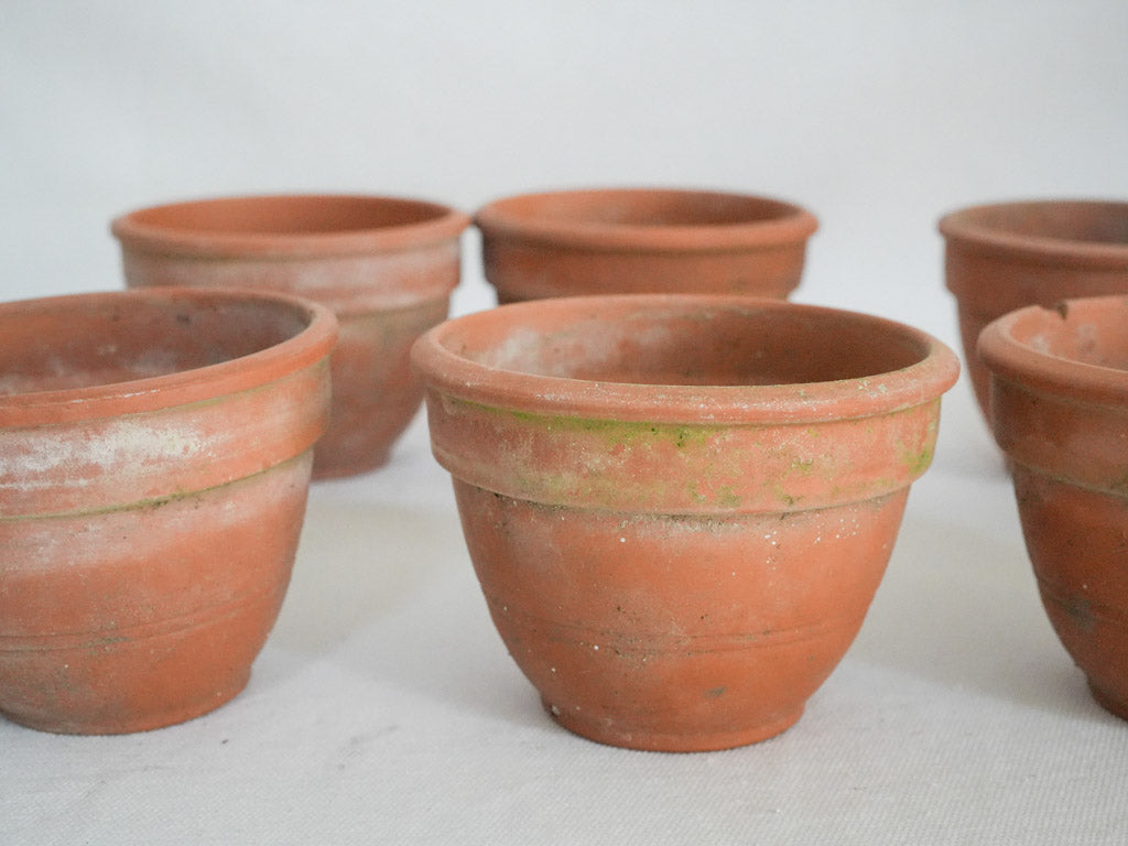 Traditional rustic terracotta plant pots