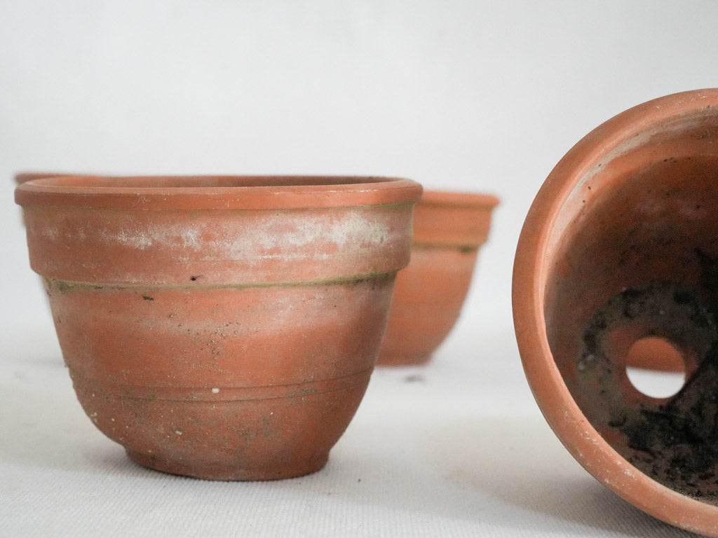 Subtle ridged French garden planters