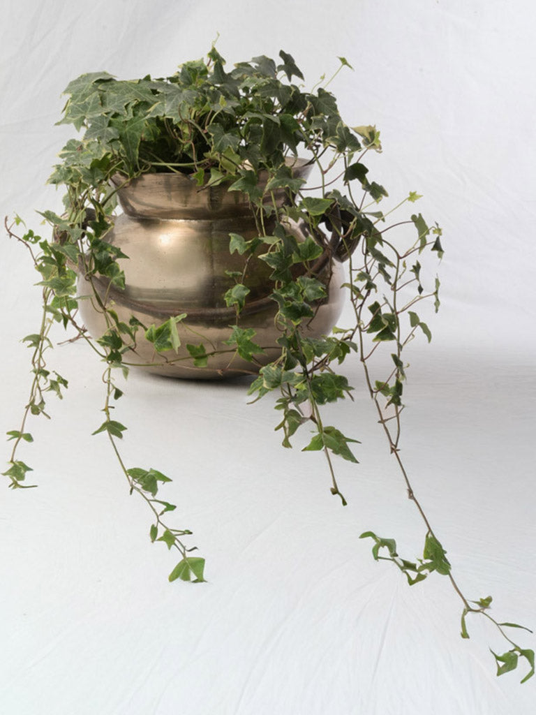 Vintage farmhouse metal vessel