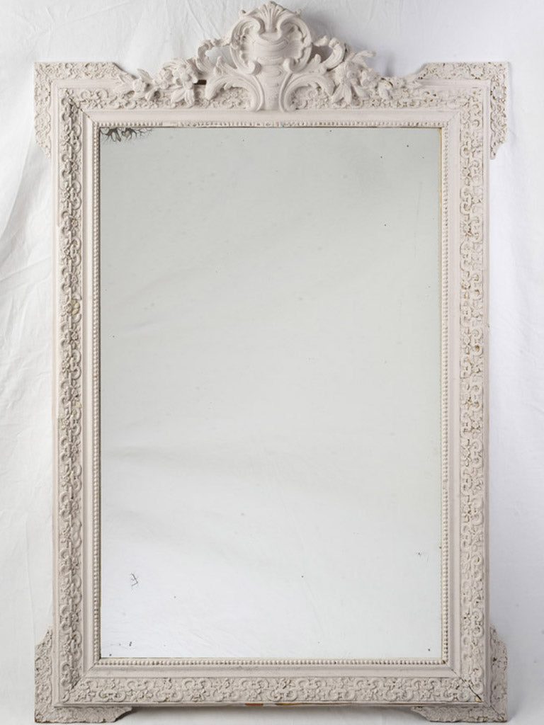 Elegant floral moldings mirror
