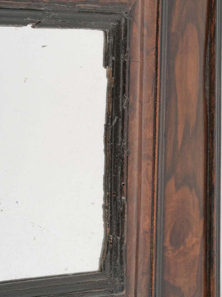 Ornate Historical Languedoc-Roussillon Louis XIII Mirror