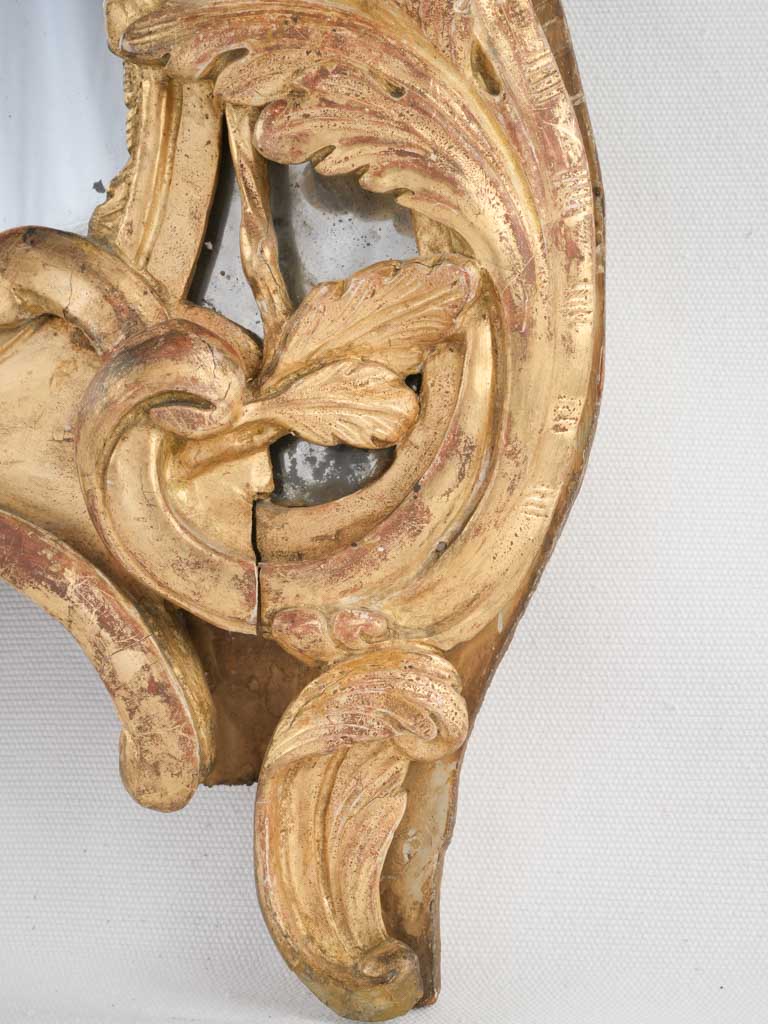 Exquisite Baroque Floral Wall Mirror