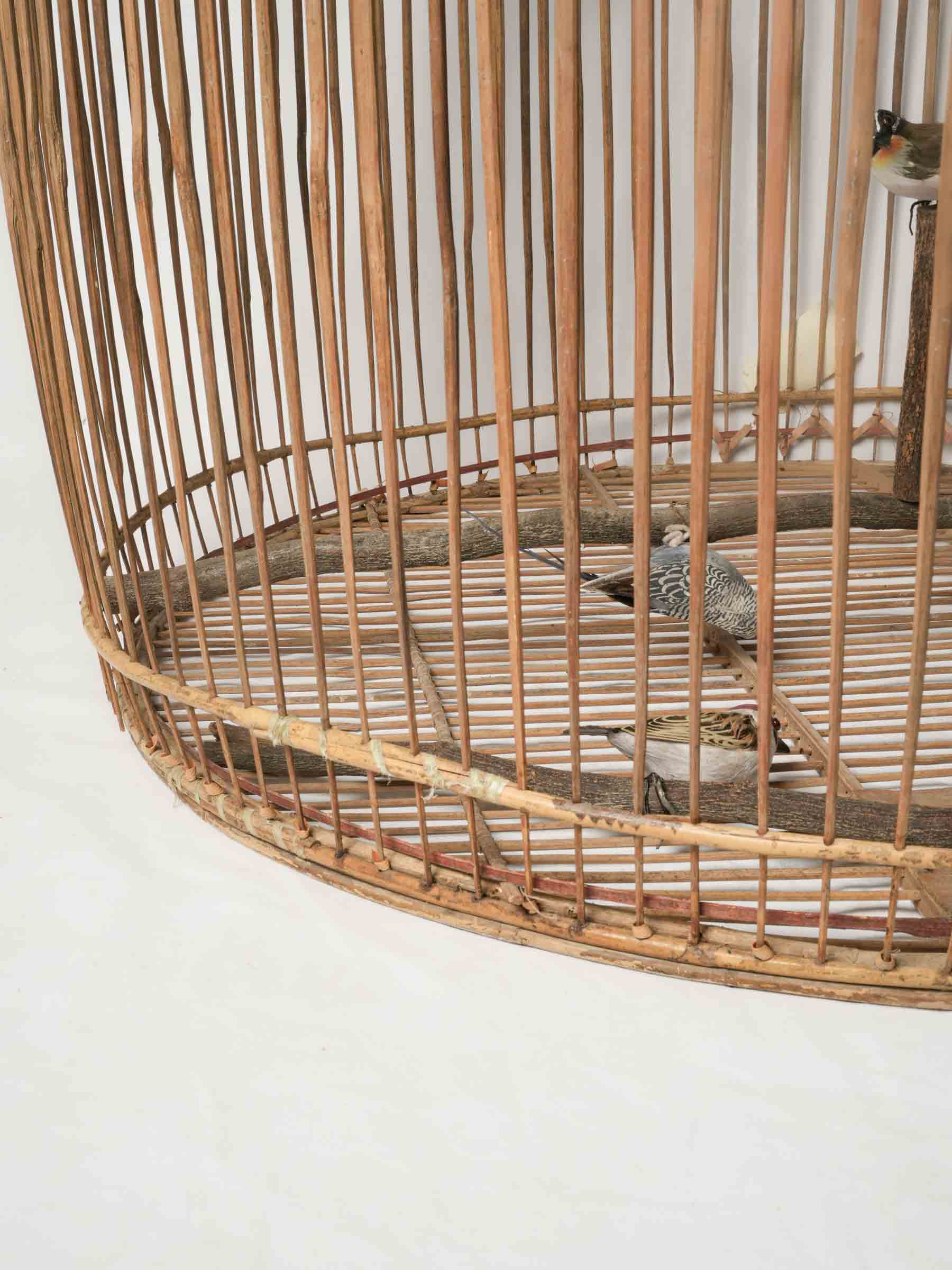Oversized Natural Cane Hanging Birdcage w/ Pretty Carved Door - 43¼"