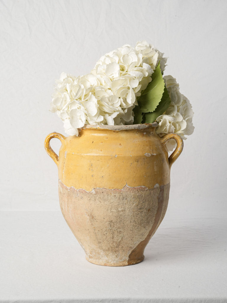 Antique French terracotta jar
