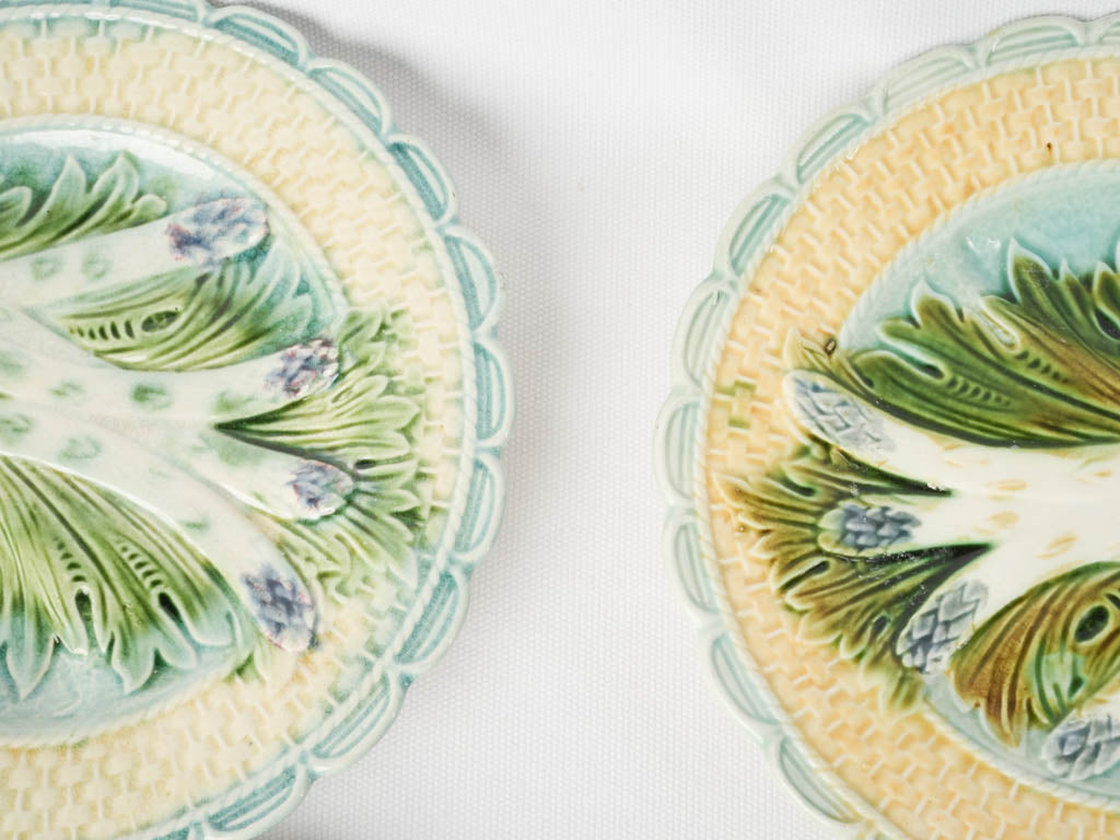 Collectible European dinnerware asparagus collection
