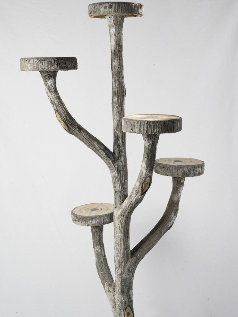 Retro whimsical plant display