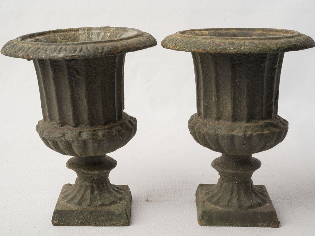 Historic classical Medici planters