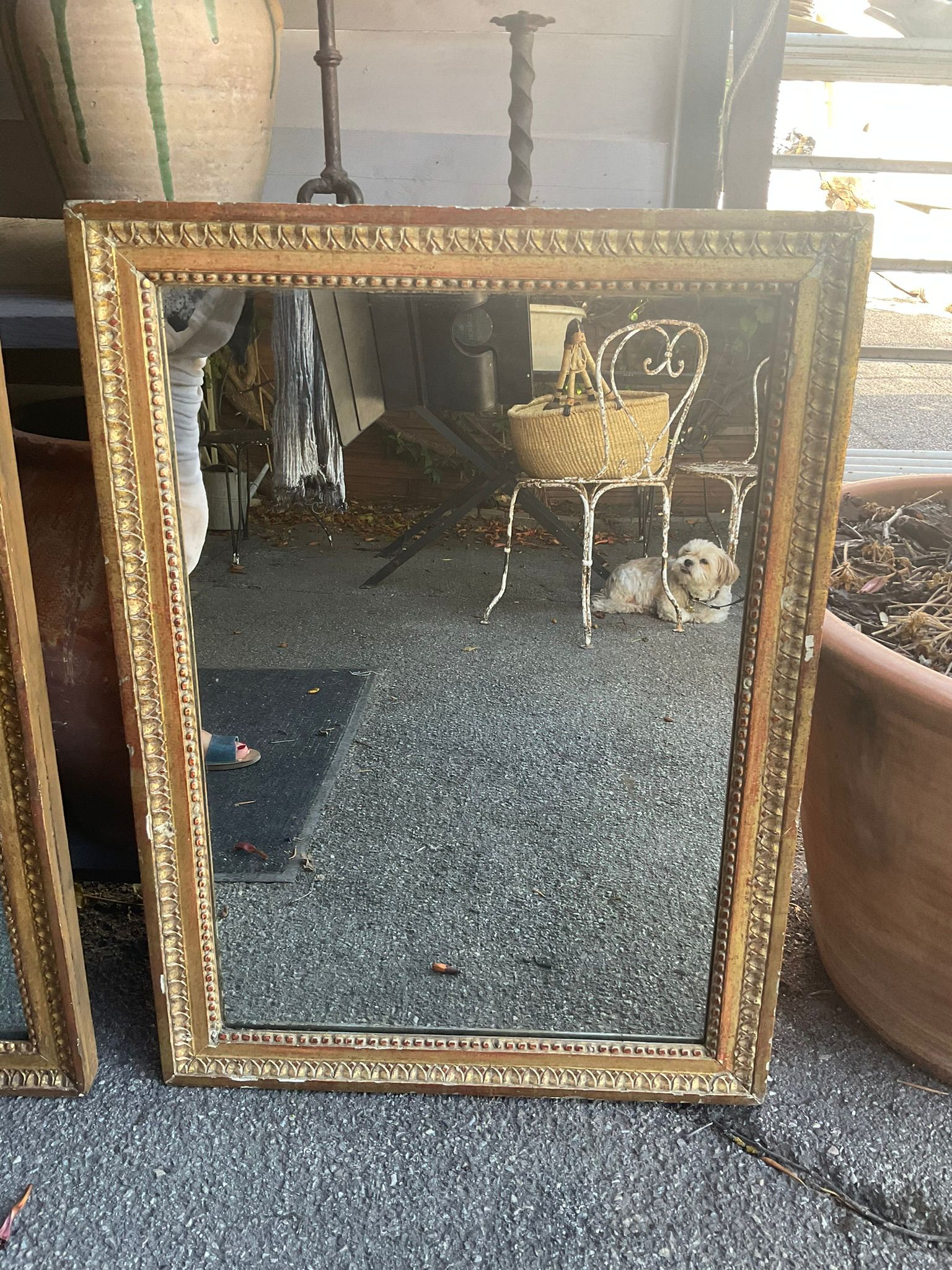 Water-gilded, antique Louis XVI mirrors