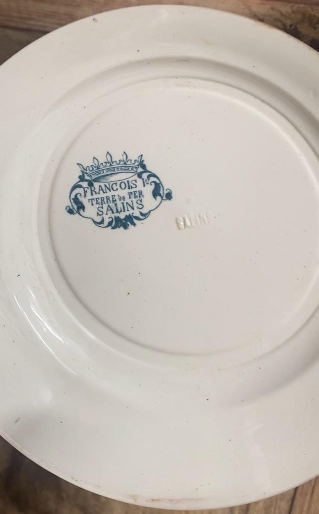 Antique, Salamander-embellished Ironstone Dinner Set