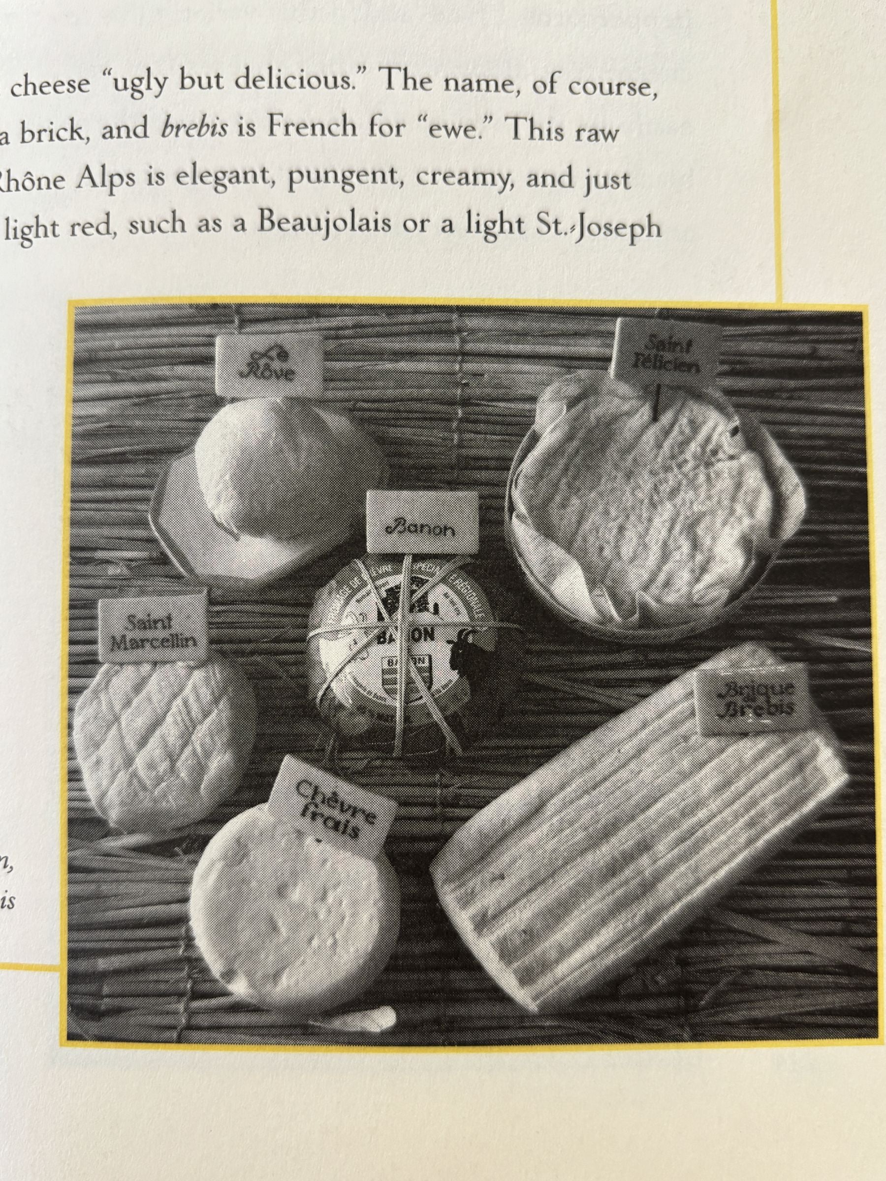 Set of Bespoke 10 Ceramic French Cheese Labels - Hand Lettered