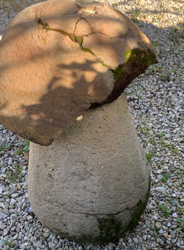Collection of six large stone garden mushrooms