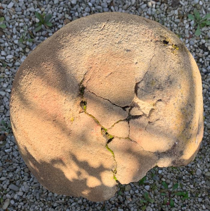 Collection of six large stone garden mushrooms