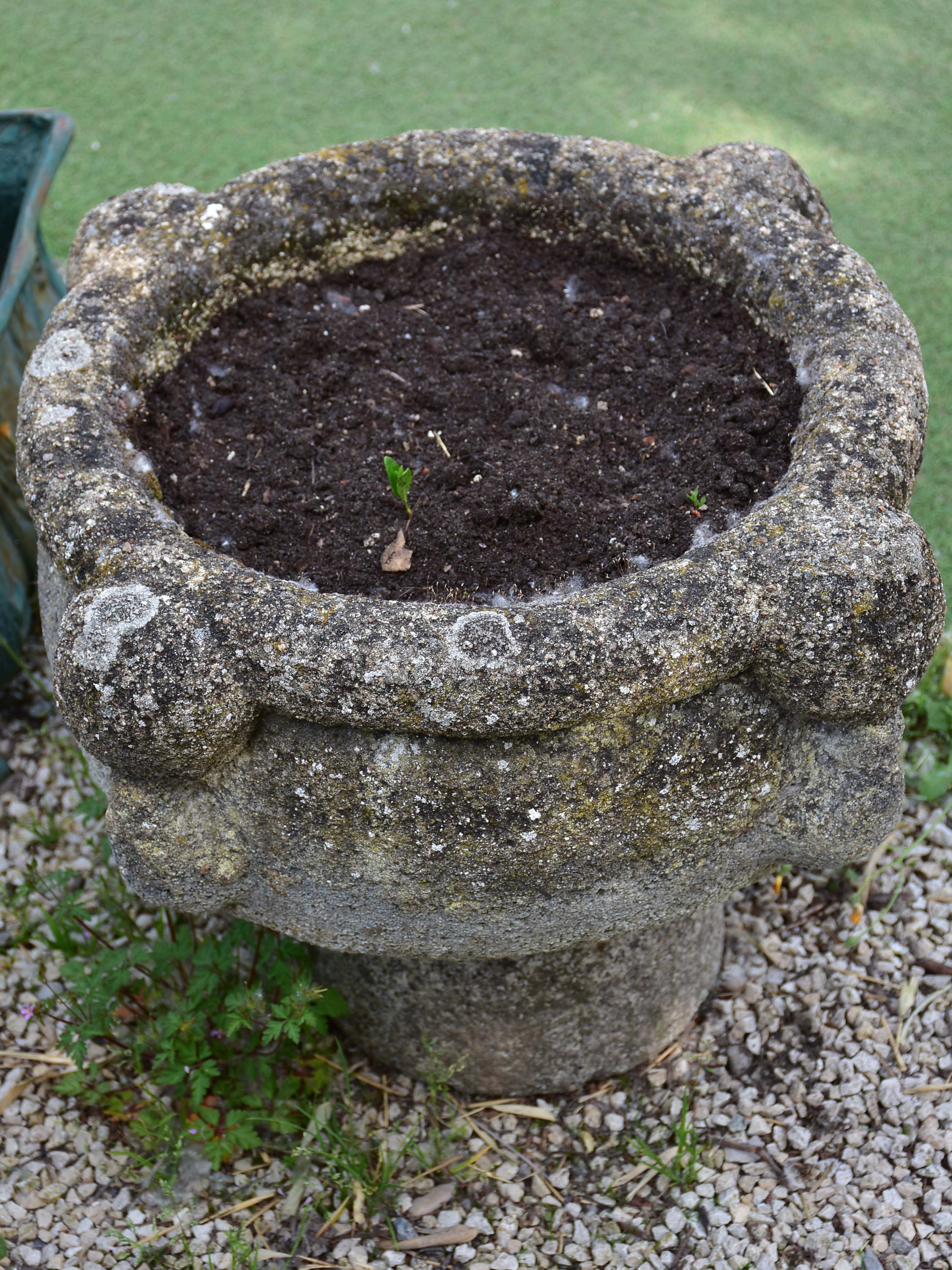 Pair of 18th century French garden planters - mortar shape
