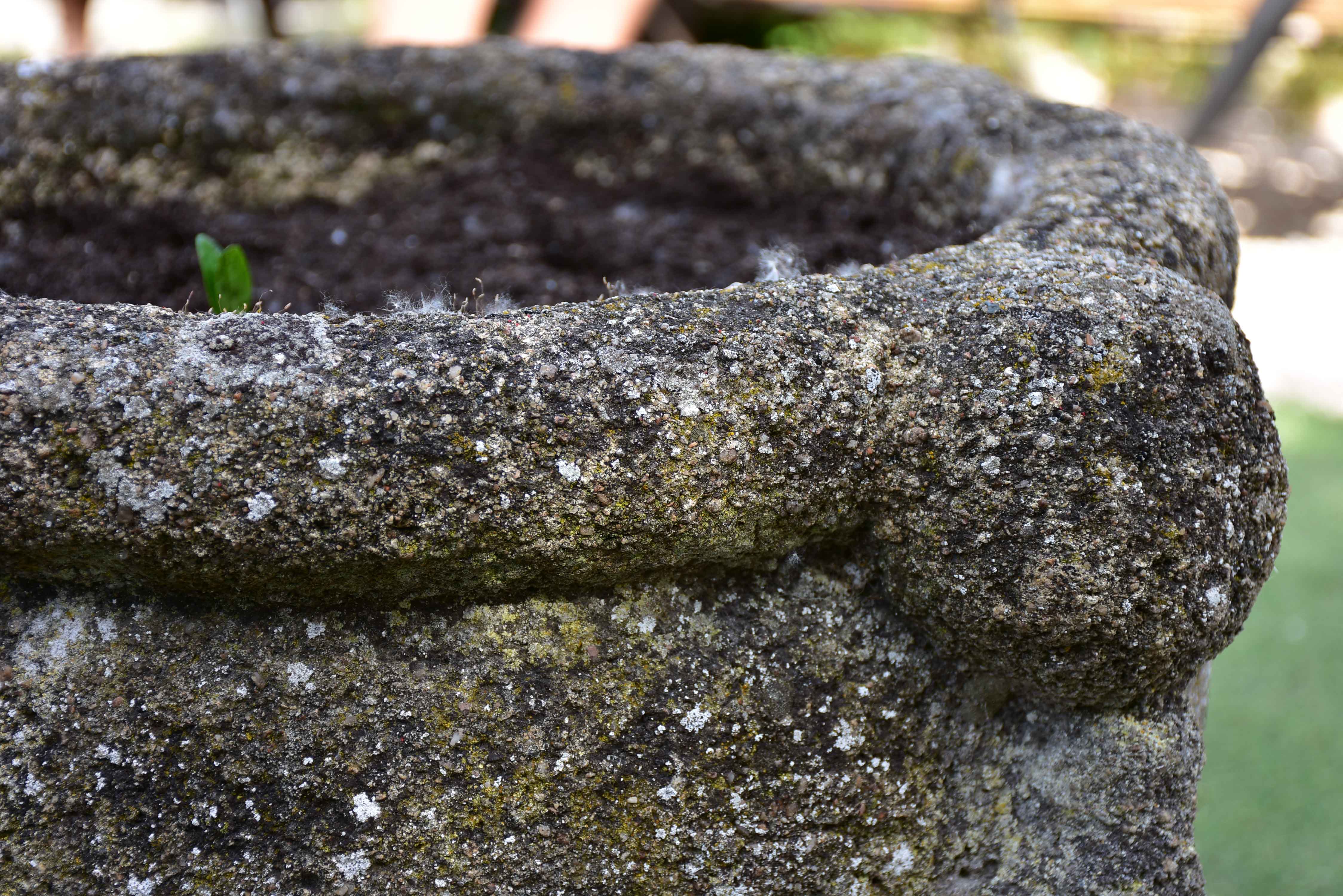 Pair of 18th century French garden planters - mortar shape