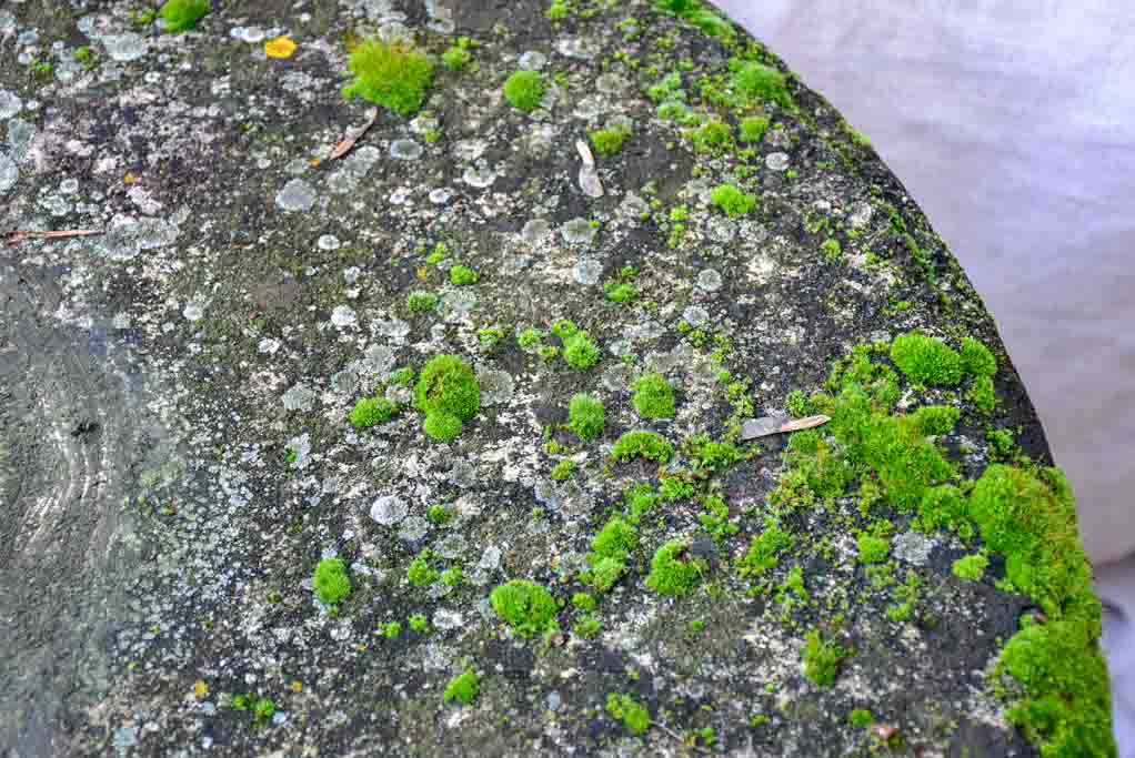 Mid century garden table with fluted base - reconsituted stone