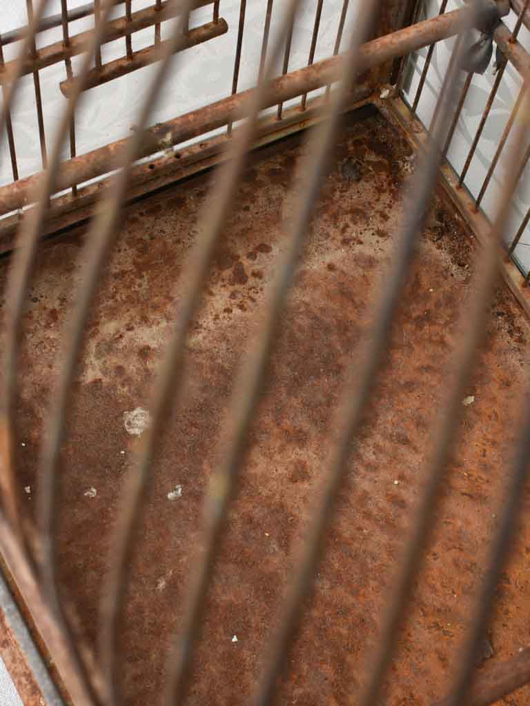 Antique French birdcage w/ glass 24¾"