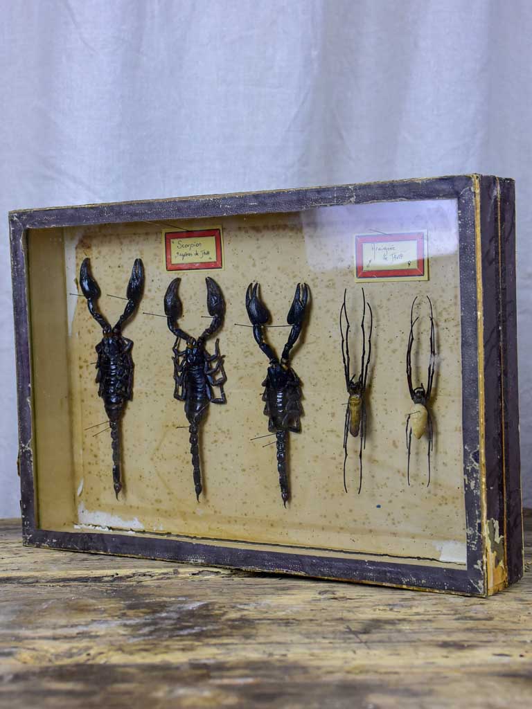 Vintage handcrafted traditional scorpion box