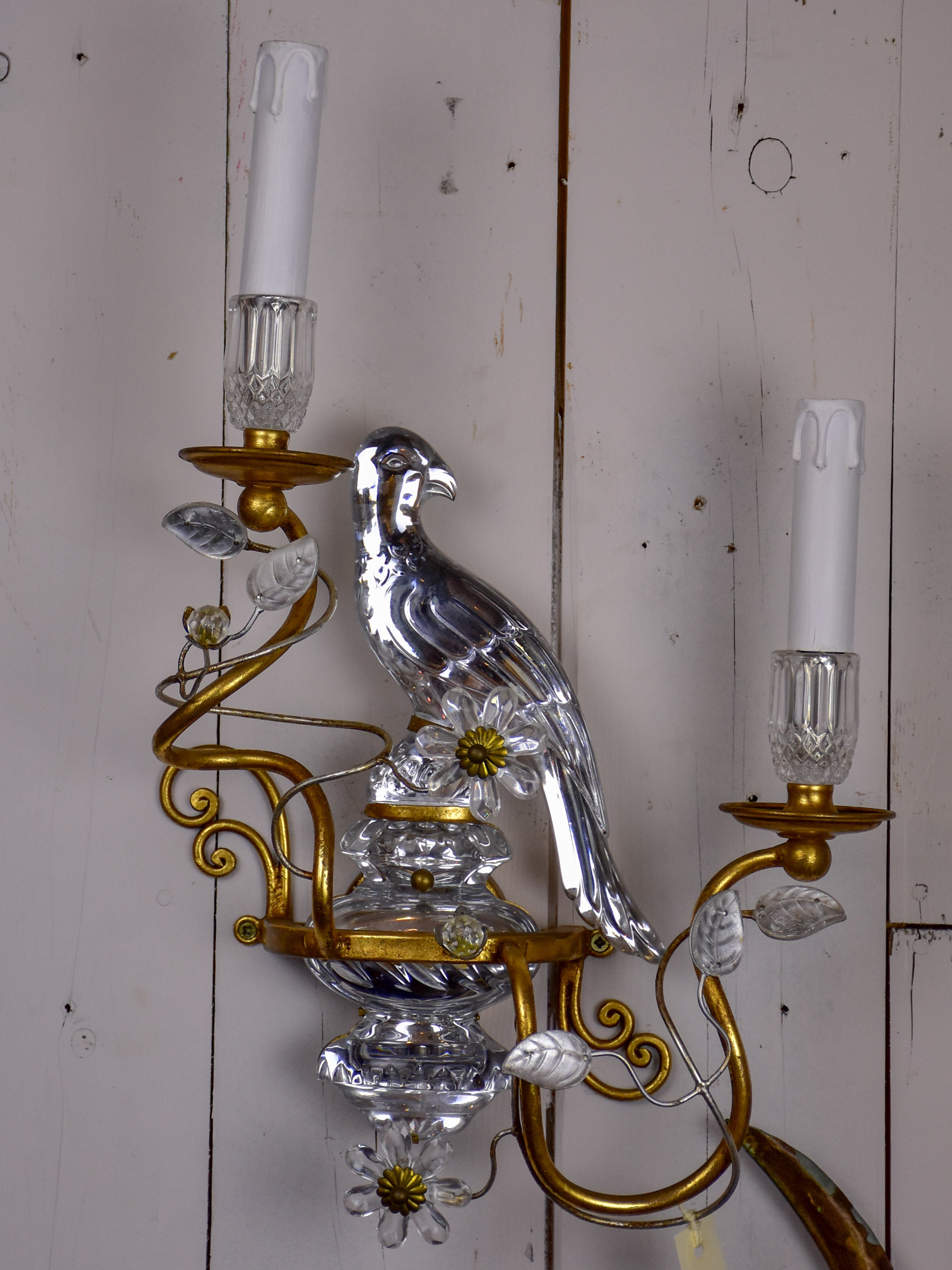 Pair of Parrot wall sconces in the style of Maison Baguès