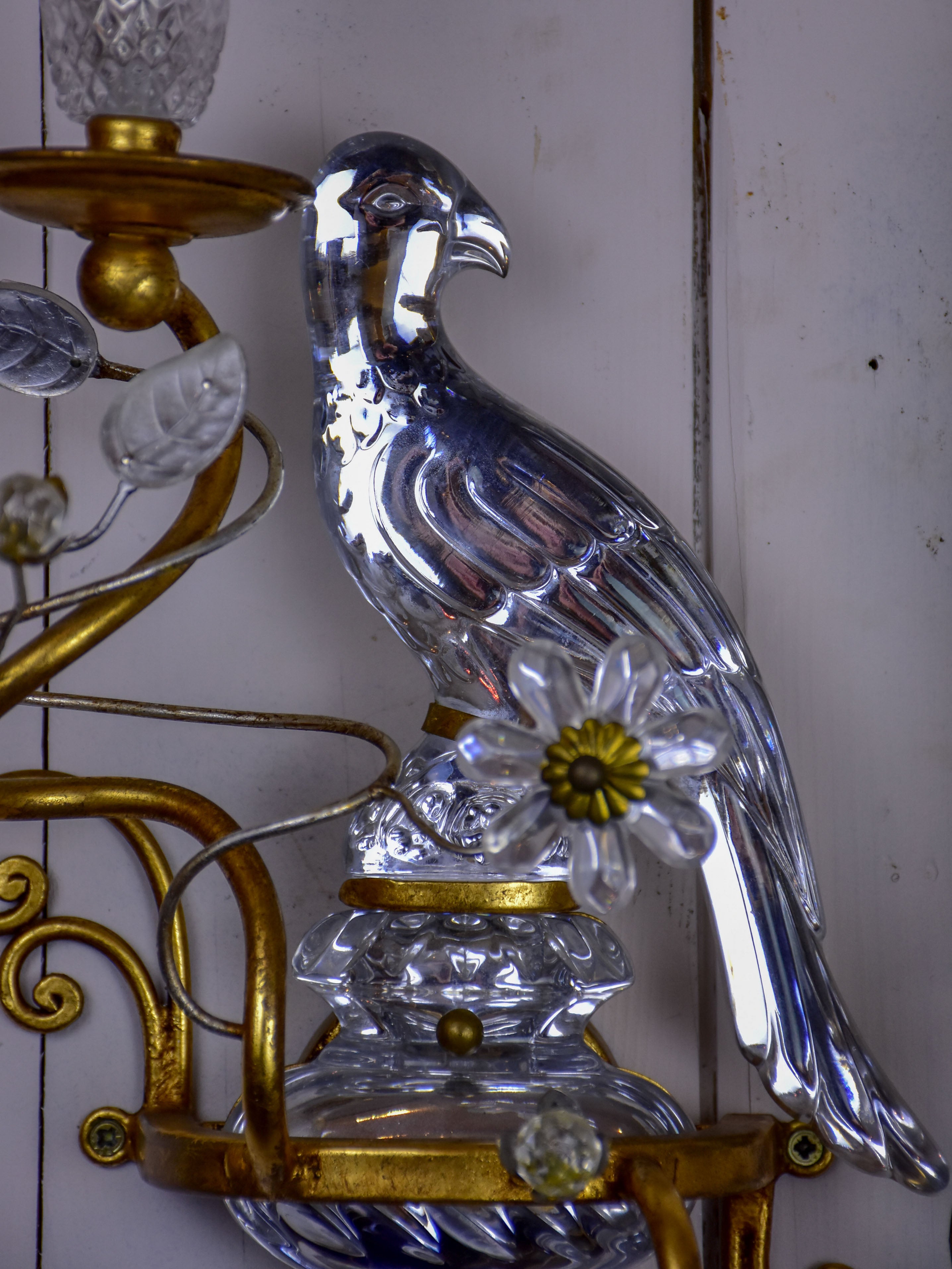 Pair of Parrot wall sconces in the style of Maison Baguès