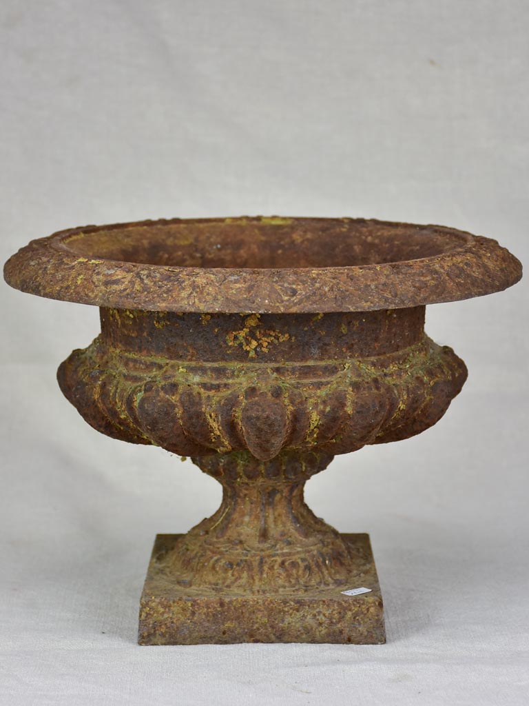 Nineteenth Century cast iron Medici urn 9½"