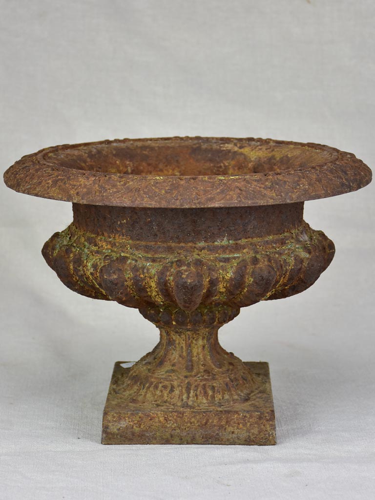 Nineteenth Century cast iron Medici urn 9½"